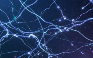 Cuộc đua AI tuần qua: OpenAI mở rộng GPT-5.6, Meta ra mắt Muse Image và xAI hoàn thiện mô hình mới